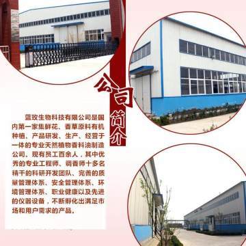 天竺葵純露 深層凈化肌膚，煥活水潤光彩——藍玫丫廠家直銷美容院裝專業解析