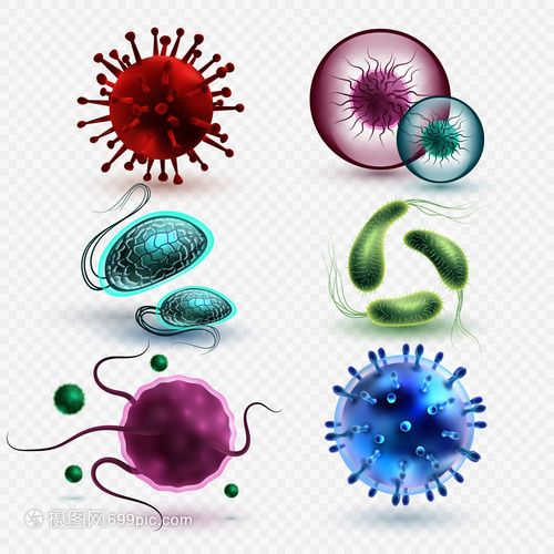 3D現實中的微生物與細菌 隔離、媒集與微觀世界的探索