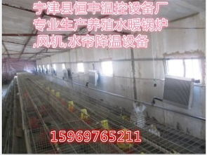 養殖升溫鍋爐與雞舍采暖 寧津縣恒豐溫控設備廠的專業之選